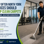 North York office carpet cleaning with a commercial cleaner deep cleaning office carpets